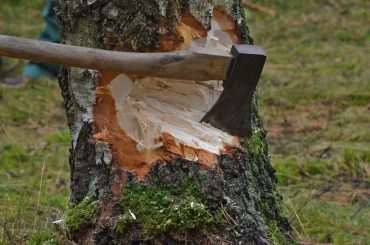 Sharpen Your Axe
